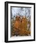 Great Horned Owlets on Tree Limb, De Soto, Florida, USA-Arthur Morris-Framed Photographic Print