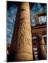 Great Hypostyle Hall at Karnak Temple, Egypt-Clive Nolan-Mounted Photographic Print