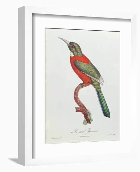 Great Jacamar, Engraved by Gromillier-Jacques Barraband-Framed Giclee Print