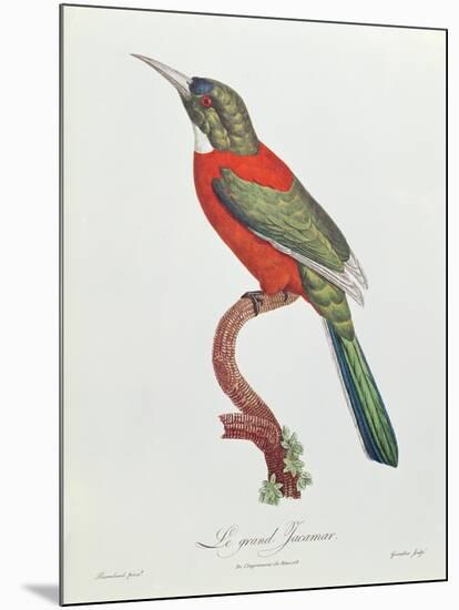 Great Jacamar, Engraved by Gromillier-Jacques Barraband-Mounted Giclee Print