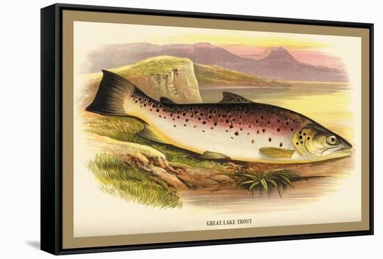 Great Lake Trout-A.f. Lydon-Framed Stretched Canvas