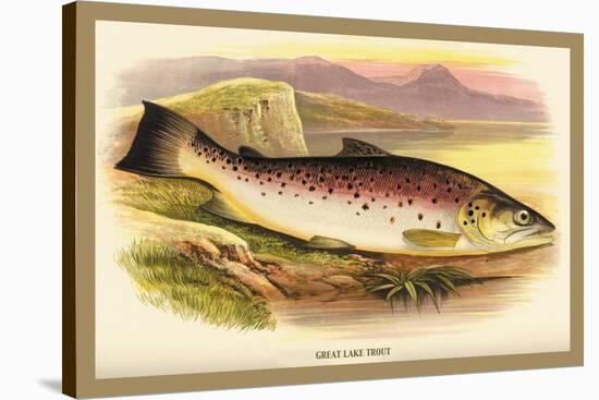 Great Lake Trout-A.f. Lydon-Stretched Canvas