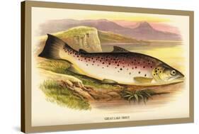 Great Lake Trout-A.f. Lydon-Stretched Canvas