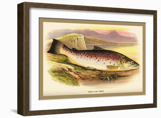 Great Lake Trout-A.f. Lydon-Framed Art Print