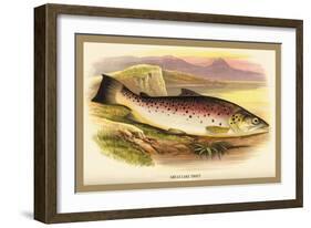 Great Lake Trout-A.f. Lydon-Framed Art Print