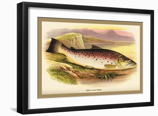 Great Lake Trout-A.f. Lydon-Framed Art Print