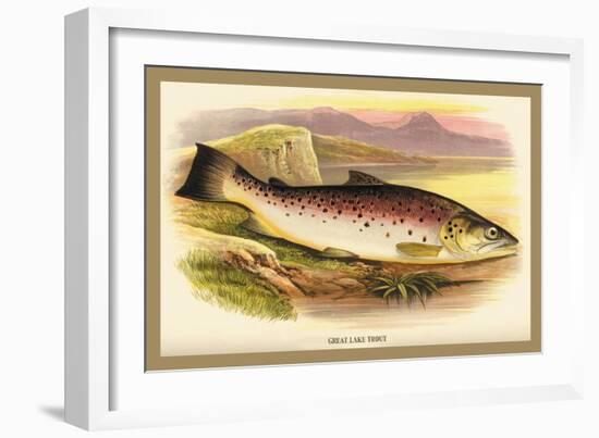 Great Lake Trout-A.f. Lydon-Framed Art Print