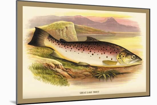 Great Lake Trout-A.f. Lydon-Mounted Art Print