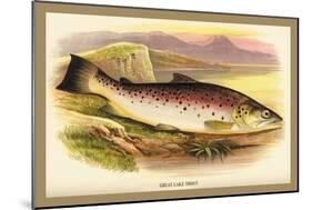 Great Lake Trout-A.f. Lydon-Mounted Art Print