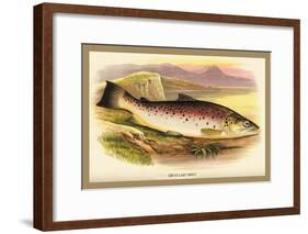 Great Lake Trout-A.f. Lydon-Framed Art Print