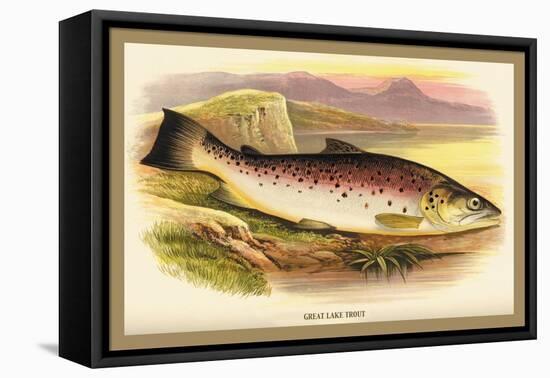 Great Lake Trout-A.f. Lydon-Framed Stretched Canvas
