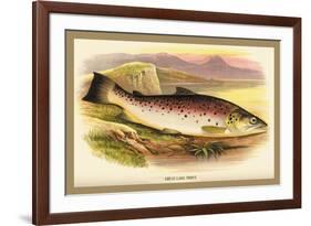 Great Lake Trout-A.f. Lydon-Framed Premium Giclee Print