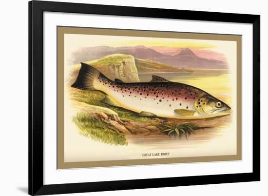 Great Lake Trout-A.f. Lydon-Framed Premium Giclee Print