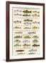 Great Lakes Sportman's Game Fish-null-Framed Art Print