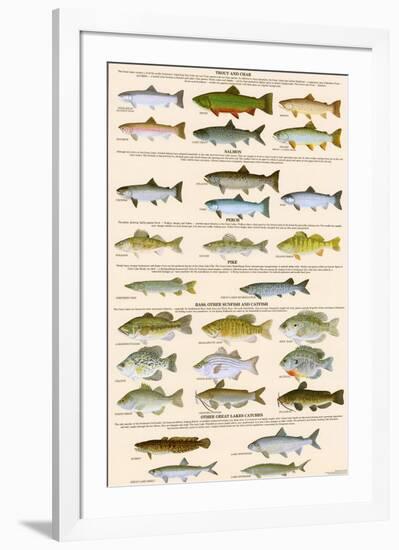 Great Lakes Sportman's Game Fish-null-Framed Art Print