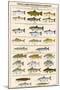 Great Lakes Sportman's Game Fish-null-Mounted Art Print