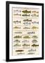 Great Lakes Sportman's Game Fish-null-Framed Art Print