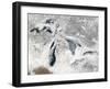 Great Lakes-Stocktrek Images-Framed Photographic Print