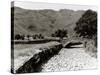 Great Langdale Becks in Late District During the Drought, June 1976-null-Stretched Canvas