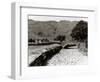 Great Langdale Becks in Late District During the Drought, June 1976-null-Framed Photographic Print