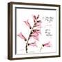 Great Love foxglove-Albert Koetsier-Framed Photographic Print