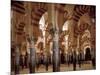 Great Mosque of Cordoba-null-Mounted Art Print