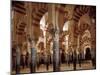 Great Mosque of Cordoba-null-Mounted Art Print