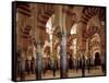 Great Mosque of Cordoba-null-Framed Stretched Canvas