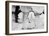 Great Mosque of Samarra, Iraq, 1918-null-Framed Giclee Print