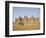 Great Mosque, the Largest Dried Earth Building in the World, Djenne, Mali-Pate Jenny-Framed Photographic Print