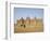 Great Mosque, the Largest Dried Earth Building in the World, Djenne, Mali-Pate Jenny-Framed Photographic Print