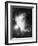 Great Nebula in Orion (NGC 1976 - M4), 16 November 1898-null-Framed Giclee Print