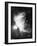 Great Nebula in Orion (NGC 1976 - M4), 16 November 1898-null-Framed Giclee Print