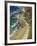 Great Ocean Road near Lorne, Victoria, Australia-David Wall-Framed Photographic Print