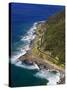 Great Ocean Road near Lorne, Victoria, Australia-David Wall-Stretched Canvas