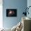 Great Orion Nebula-Digital Vision.-Stretched Canvas displayed on a wall