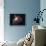 Great Orion Nebula-Digital Vision.-Framed Photographic Print displayed on a wall