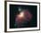 Great Orion Nebula-Digital Vision.-Framed Photographic Print