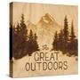 Great Outdoors-Arnie Fisk-Stretched Canvas