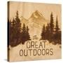 Great Outdoors-Arnie Fisk-Stretched Canvas