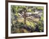 Great Pine and Red Earth, c.1885-Paul Cézanne-Framed Giclee Print