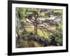 Great Pine and Red Earth, c.1885-Paul Cézanne-Framed Giclee Print