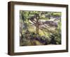 Great Pine and Red Earth, c.1885-Paul Cézanne-Framed Giclee Print