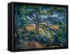 Great Pine near Aix, 1895-1897 (Oil on Canvas)-Paul Cezanne-Framed Stretched Canvas