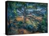 Great Pine near Aix, 1895-1897 (Oil on Canvas)-Paul Cezanne-Stretched Canvas