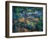 Great Pine near Aix, 1895-1897 (Oil on Canvas)-Paul Cezanne-Framed Giclee Print