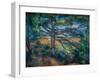 Great Pine near Aix, 1895-1897 (Oil on Canvas)-Paul Cezanne-Framed Giclee Print