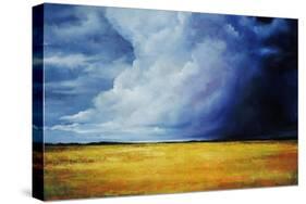 Great Plains-Sydney Edmunds-Stretched Canvas