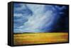 Great Plains-Sydney Edmunds-Framed Stretched Canvas