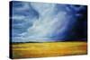 Great Plains-Sydney Edmunds-Stretched Canvas